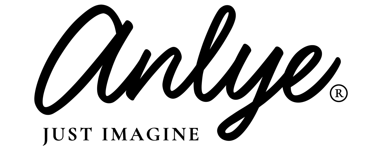 Anlye logo